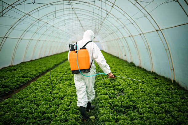Best Affordable Pest Control Services  in Lake Sherwood, CA