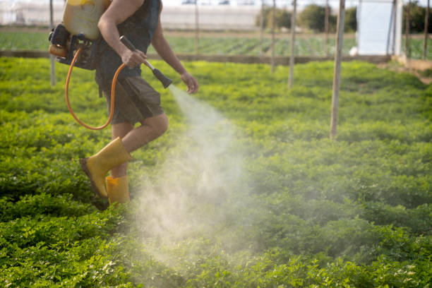 Best Pest Removal Services  in Lake Sherwood, CA