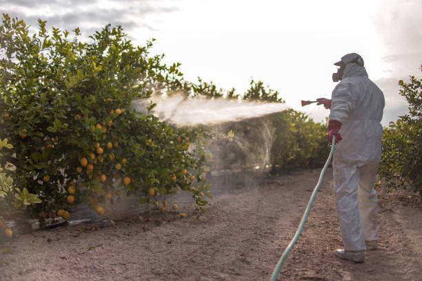 Best Best Pest Control Companies  in Lake Sherwood, CA