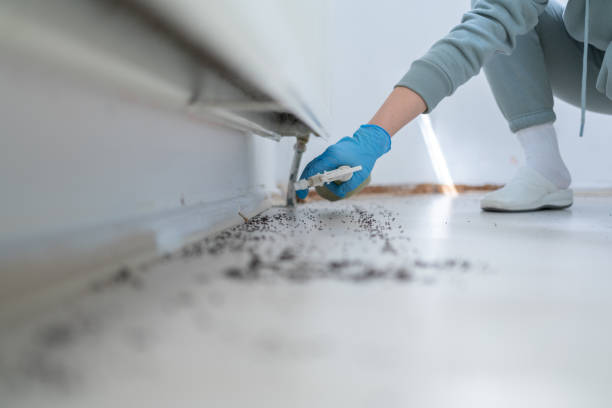 Best Commercial Pest Control Services  in Lake Sherwood, CA
